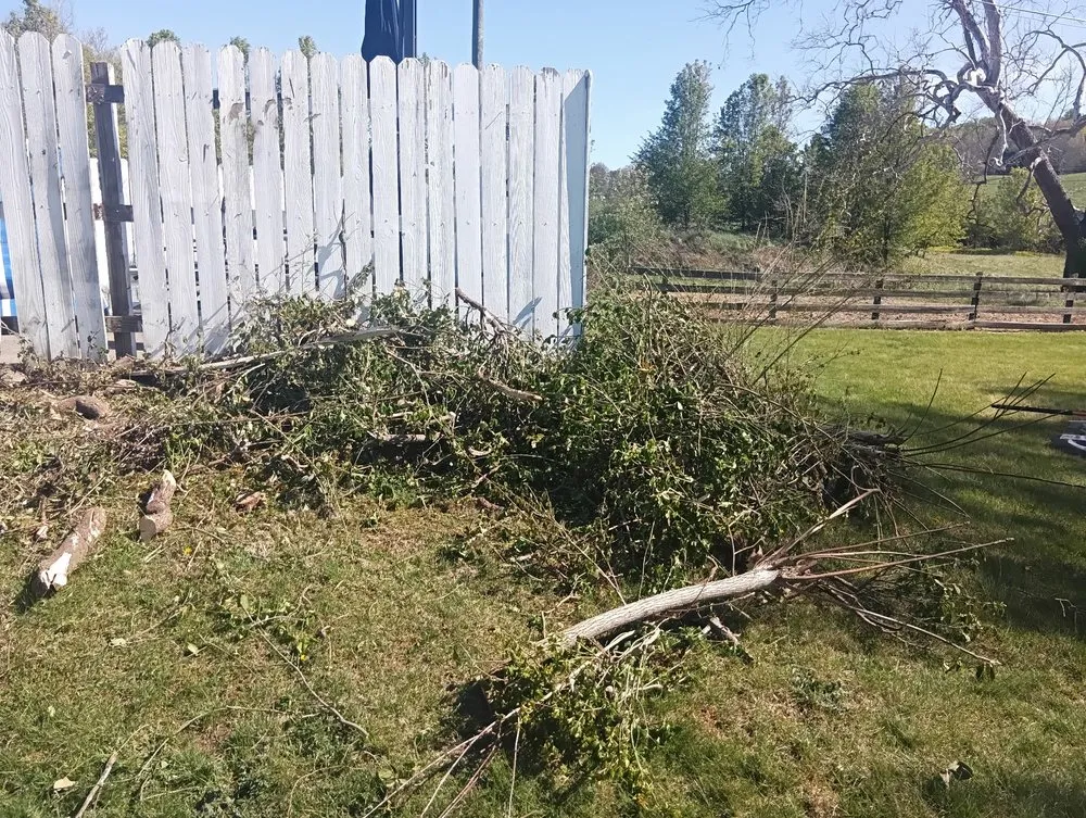 Reliable landscape design for outdoor upgrades across Staunton, VA - Handyman Express 24/7