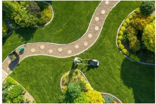 Trusted yard cleanup service in Texarkana, TX - Handyman-Go