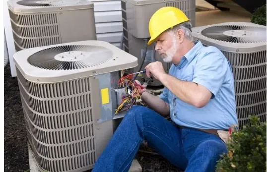 Reliable yard cleanup service near you across Texarkana, TX - Handyman-Go