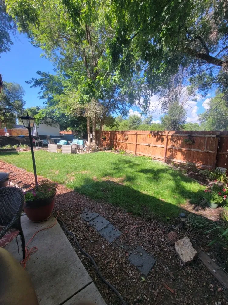 Professional outdoor landscaping for year-round maintenance in Oklahoma City, OK by Handyman Harvin