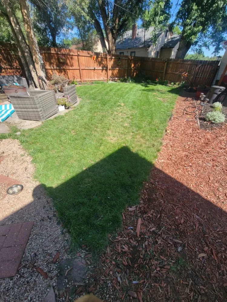 Professional yard cleanup service for residential properties across Oklahoma City, OK - Handyman Harvin