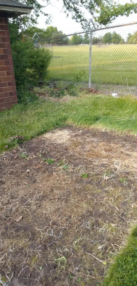 Affordable landscape design for residential properties in Austintown, OH by Handyman Heroes