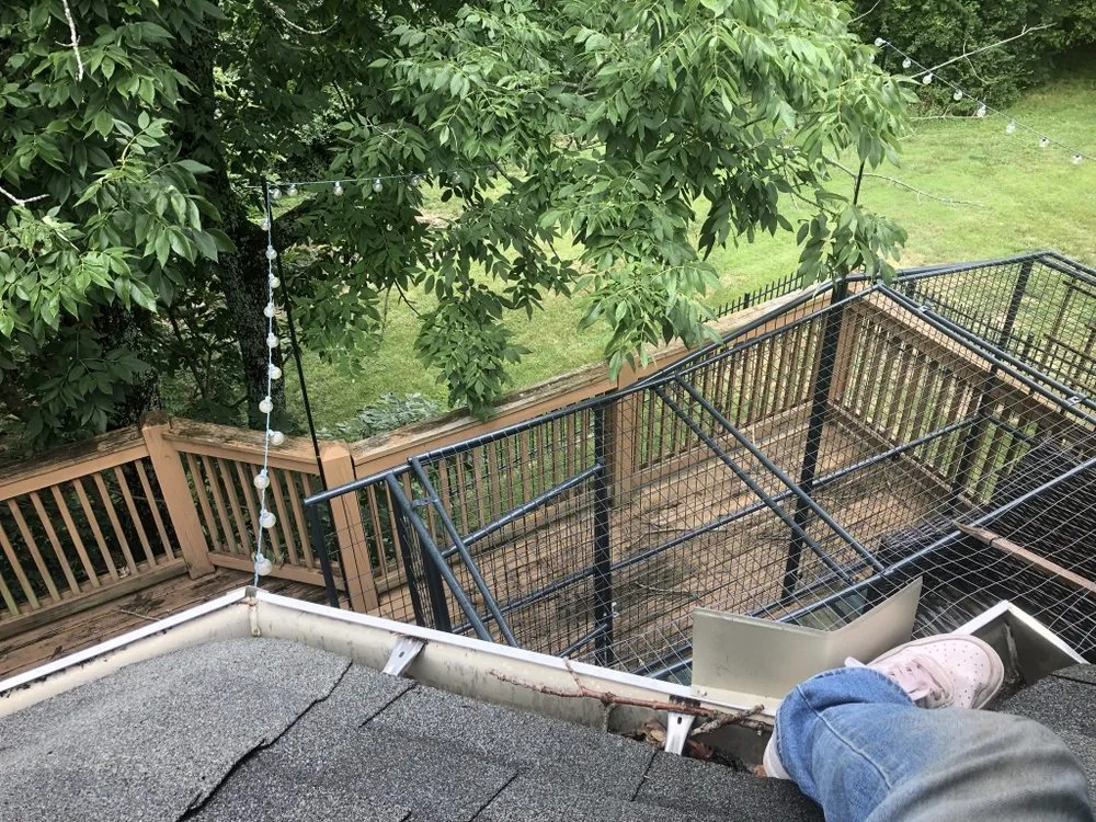 Expert landscape design in Shelbyville, KY by Handyman Home Services