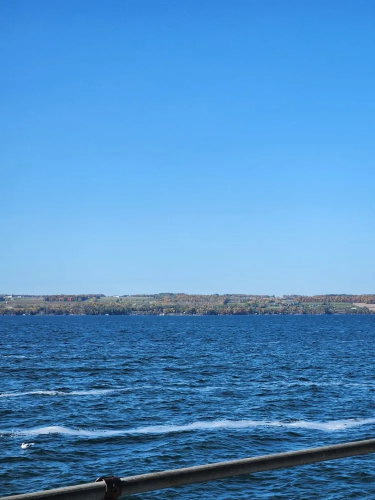 Affordable yard cleanup service in Newark Valley, NY by Handyman Jay