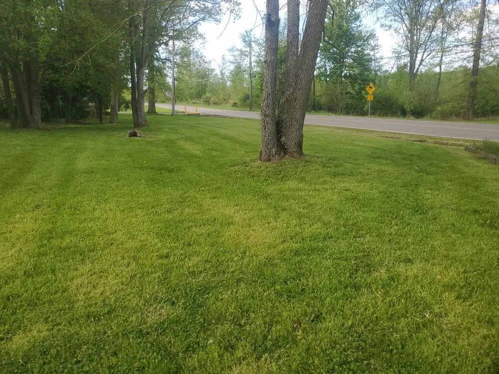 Custom landscape design near you across sharon, PA - Handyman Joe Service Salvage and Antiques