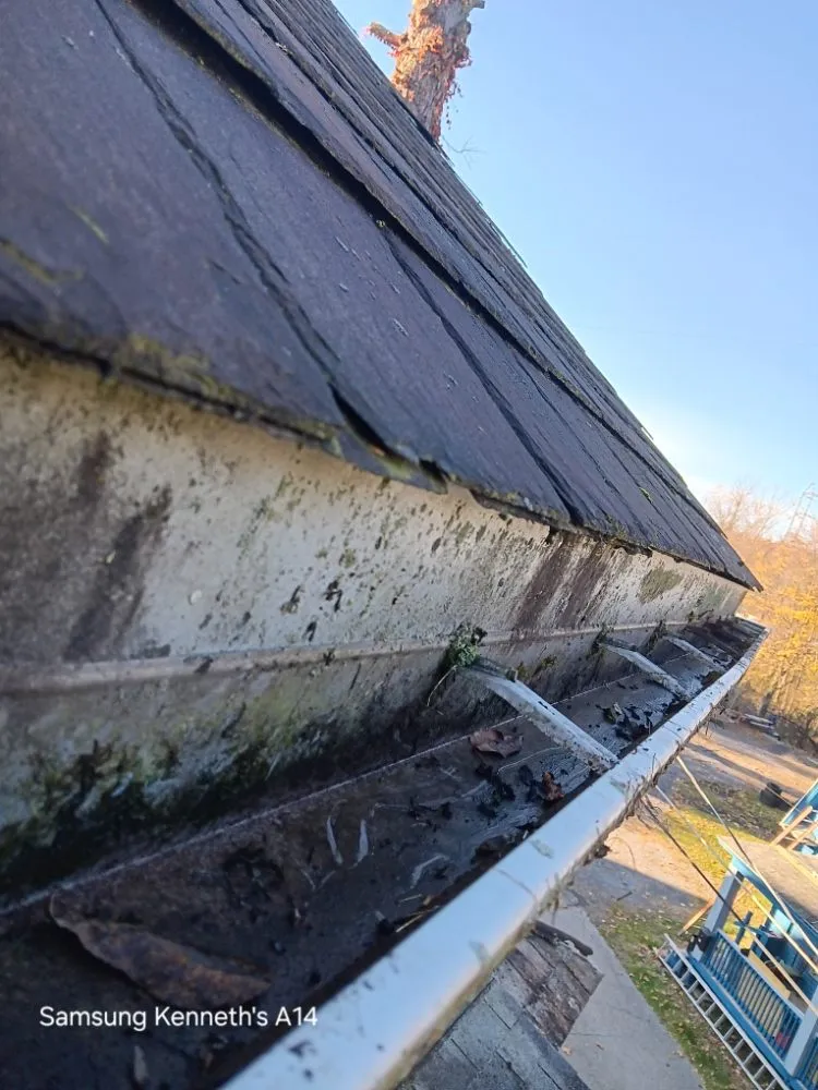 Affordable yard maintenance in sharon, PA - Handyman Joe Service Salvage and Antiques