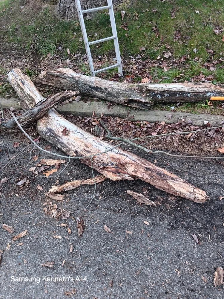 Trusted yard maintenance experts serving sharon, PA - Handyman Joe Service Salvage and Antiques