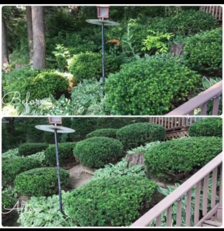 Top-rated landscape design in Plano, IL by Handyman Near Me
