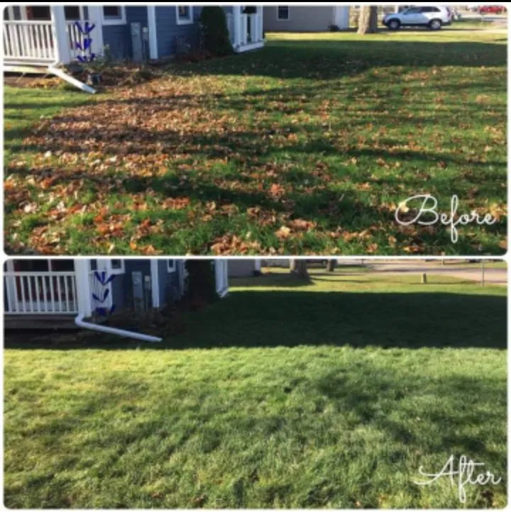 Professional landscaping services in Plano, IL by Handyman Near Me