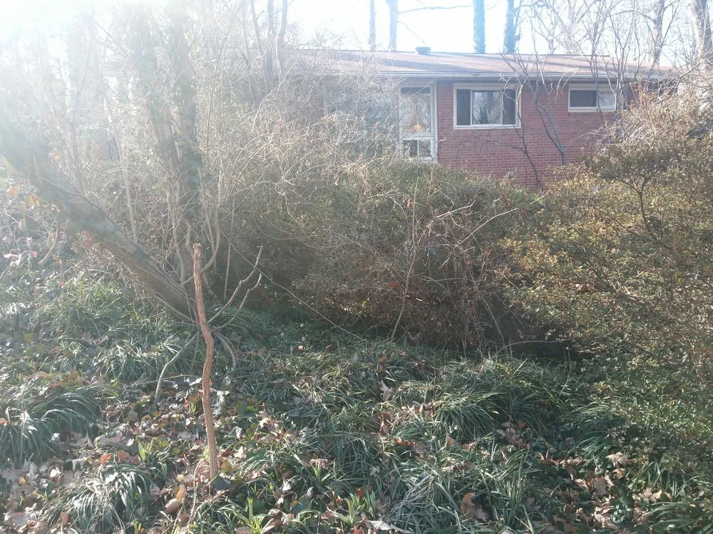 Local lawn care service near you in Blacksburg, VA by Handyman Nicole