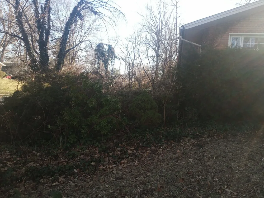 Expert lawn care service in Blacksburg, VA by Handyman Nicole