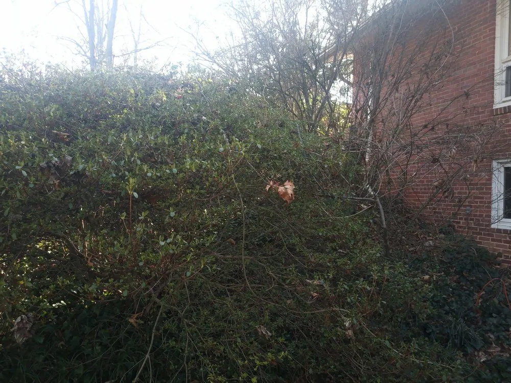 Custom landscape installation for outdoor upgrades across Blacksburg, VA - Handyman Nicole