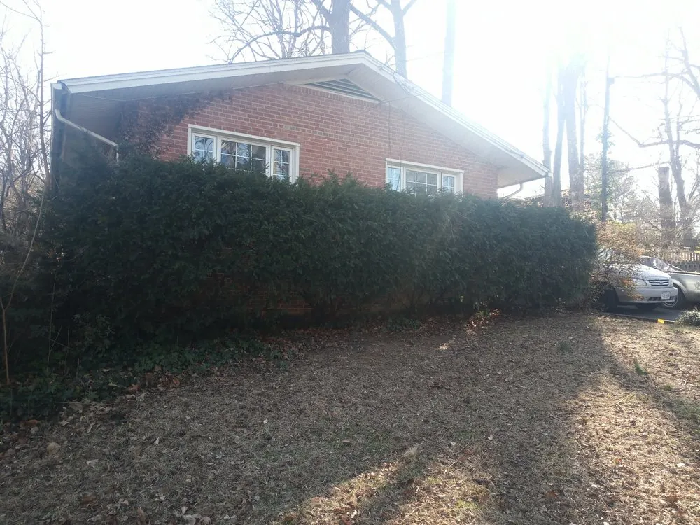 Top-rated garden landscaping in Blacksburg, VA by Handyman Nicole