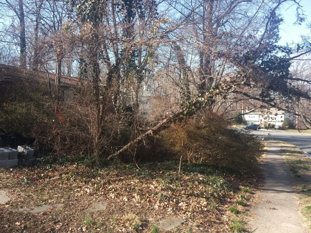 Trusted residential landscaping in Blacksburg, VA by Handyman Nicole