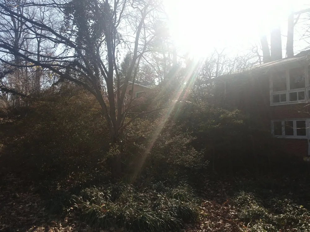 Affordable landscape design in Blacksburg, VA by Handyman Nicole