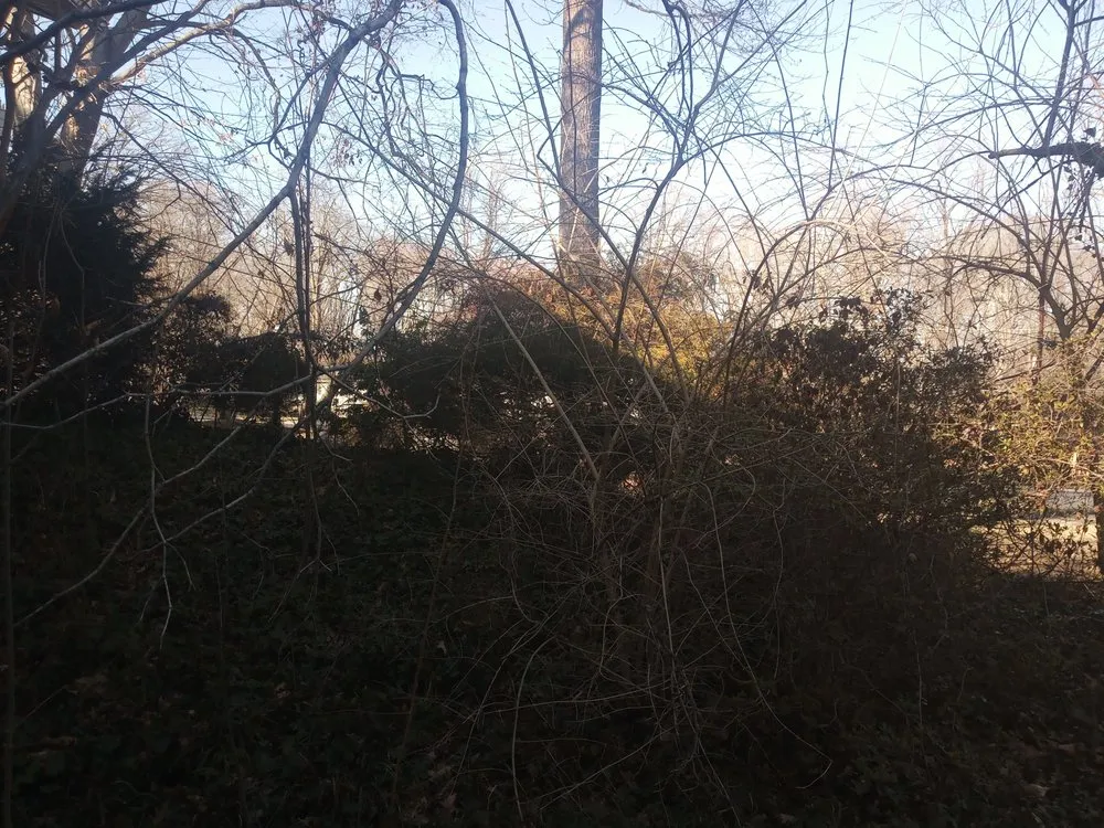 Custom landscaping services in Blacksburg, VA by Handyman Nicole