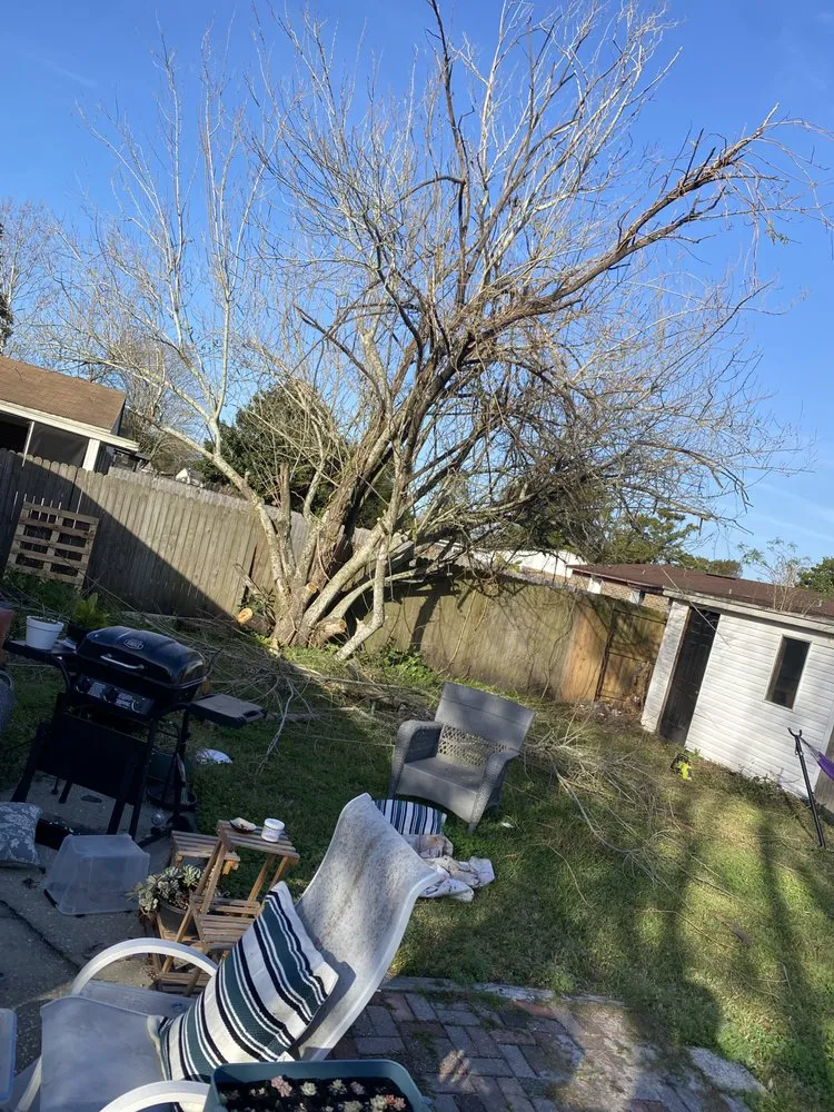 Trusted garden landscaping in Orange Park, FL - Handyman On Go Jax