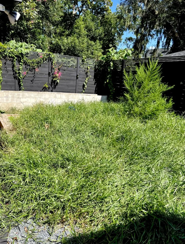 Trusted yard cleanup service experts serving Orange Park, FL - Handyman On Go Jax