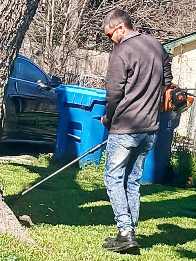 Local lawn care service in Mountain Home, TX by Handyman Peeps