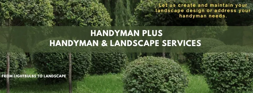 Top-rated lawn care service in Boerne, TX - Handyman Plus