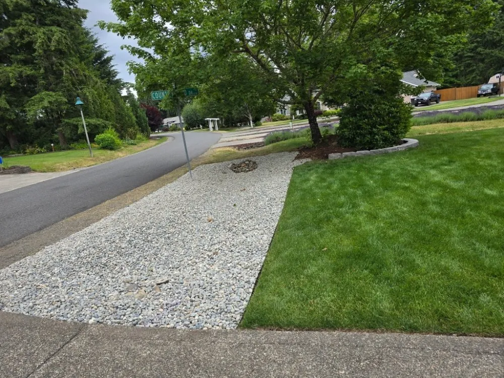 Top-rated yard cleanup service in Centralia, WA - Handyman Reyes