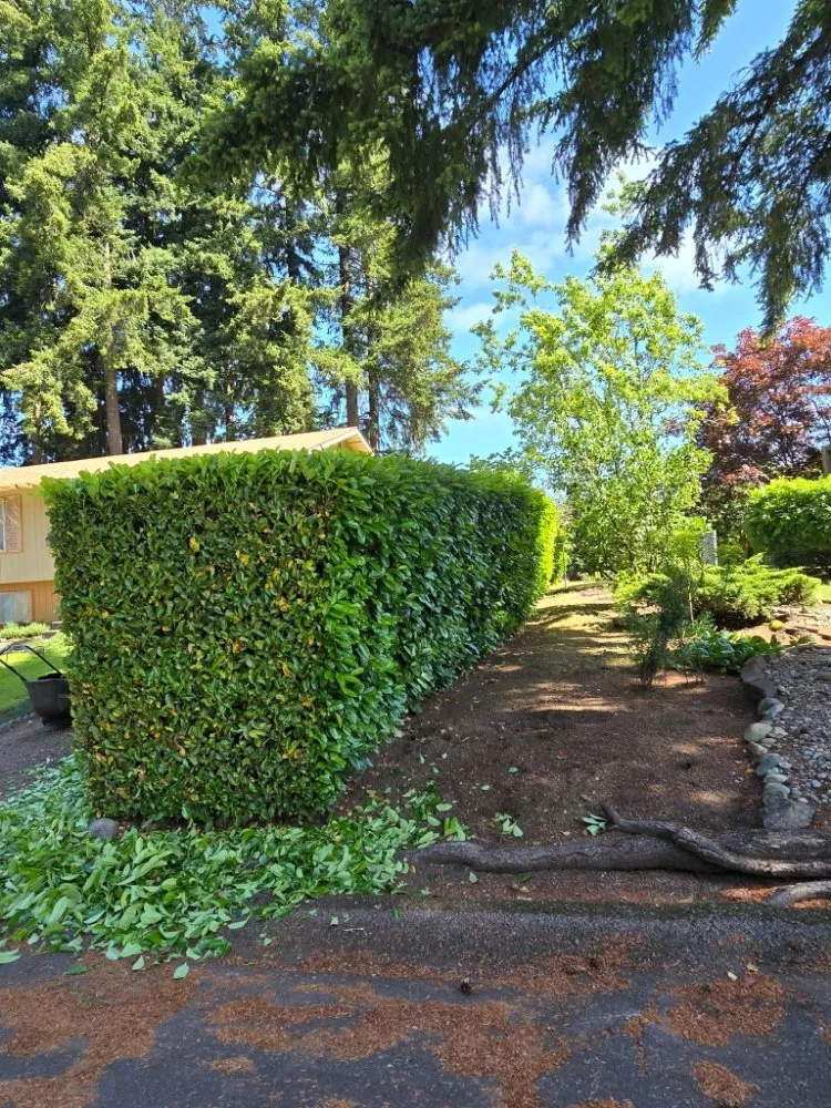 Reliable landscape installation in Centralia, WA by Handyman Reyes