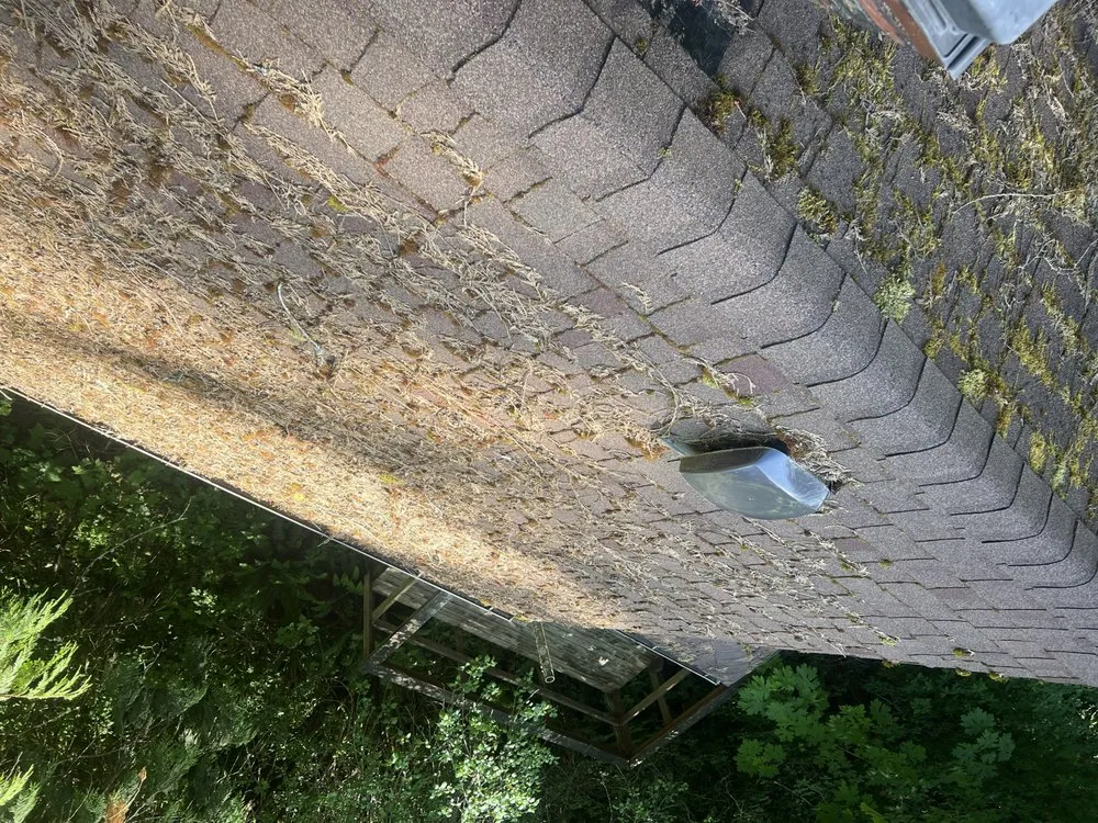 Trusted landscaping services with custom design across Centralia, WA - Handyman Reyes