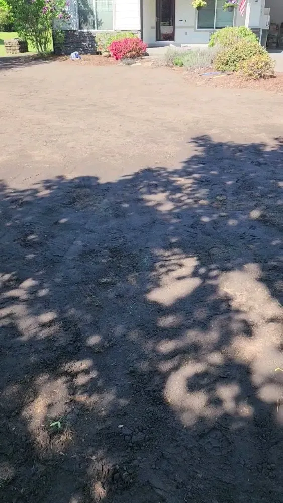 Affordable yard maintenance experts serving Centralia, WA - Handyman Reyes