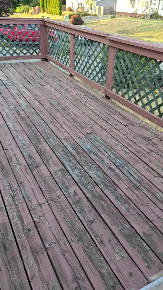 Expert yard maintenance for outdoor upgrades in Centralia, WA by Handyman Reyes