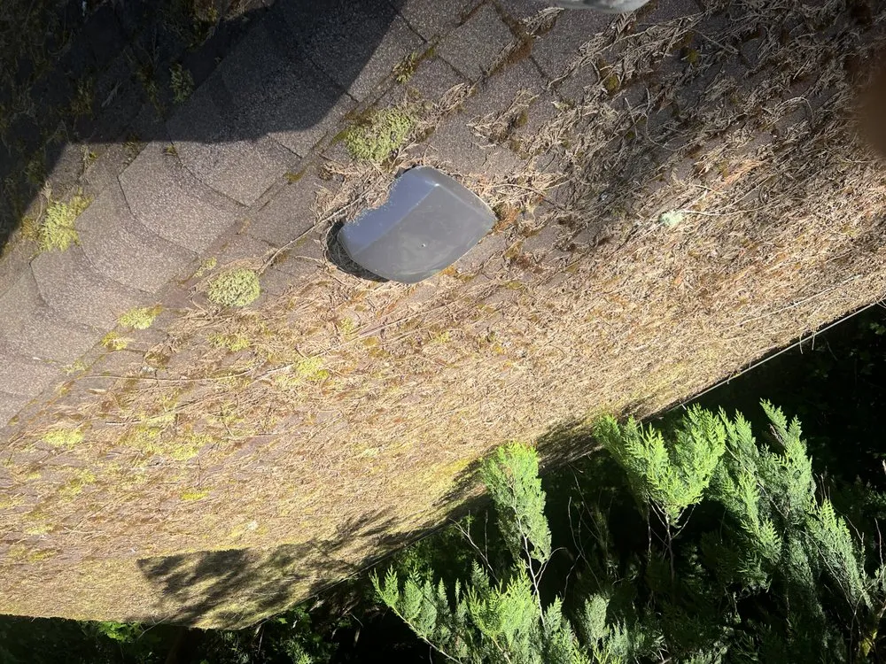 Professional outdoor landscaping in Centralia, WA - Handyman Reyes