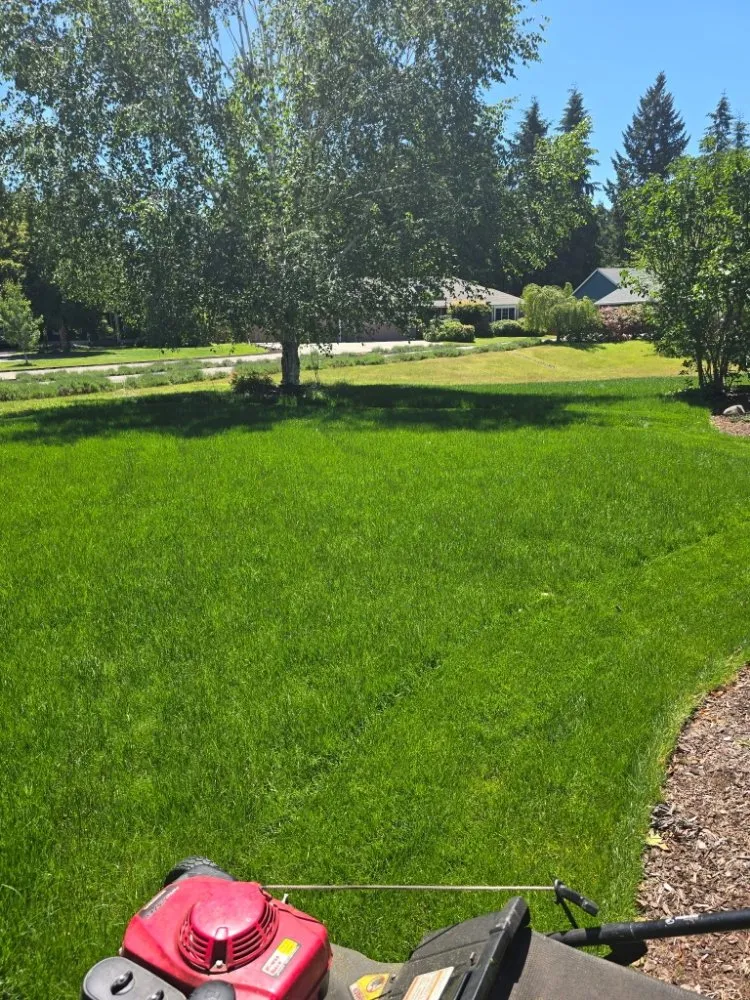 Top-rated landscape installation in Centralia, WA by Handyman Reyes