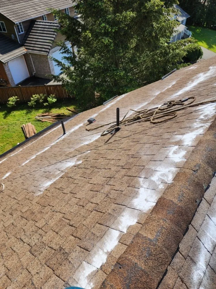 Trusted yard maintenance near you in Centralia, WA by Handyman Reyes