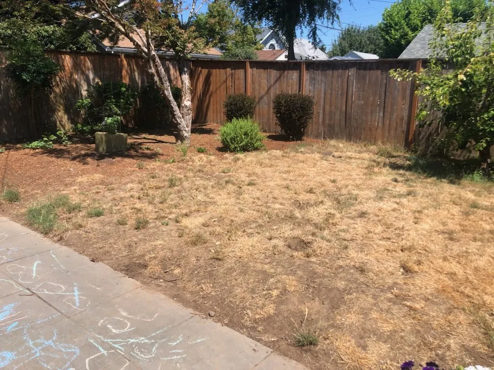 Professional lawn mowing service in Vancouver, WA by Handyman Rick