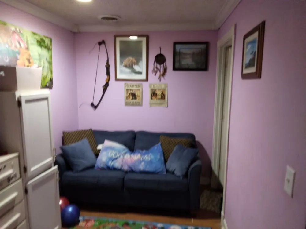 Professional yard cleanup service in Gatlinburg, TN by Handyman Steve