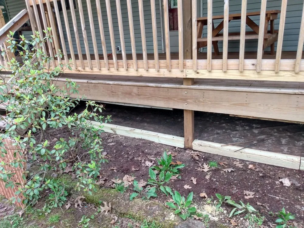 Professional yard cleanup service experts serving Parkersburg, WV - Handyman that can