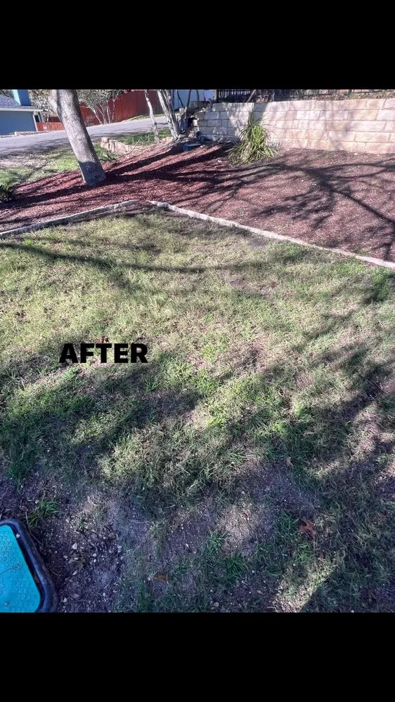 Reliable residential landscaping experts serving Austin, TX - Handyman Theo