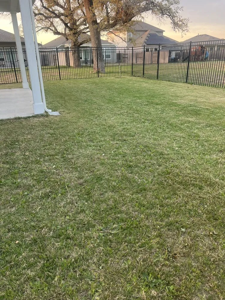 Trusted residential landscaping with custom design across Austin, TX - Handyman Theo