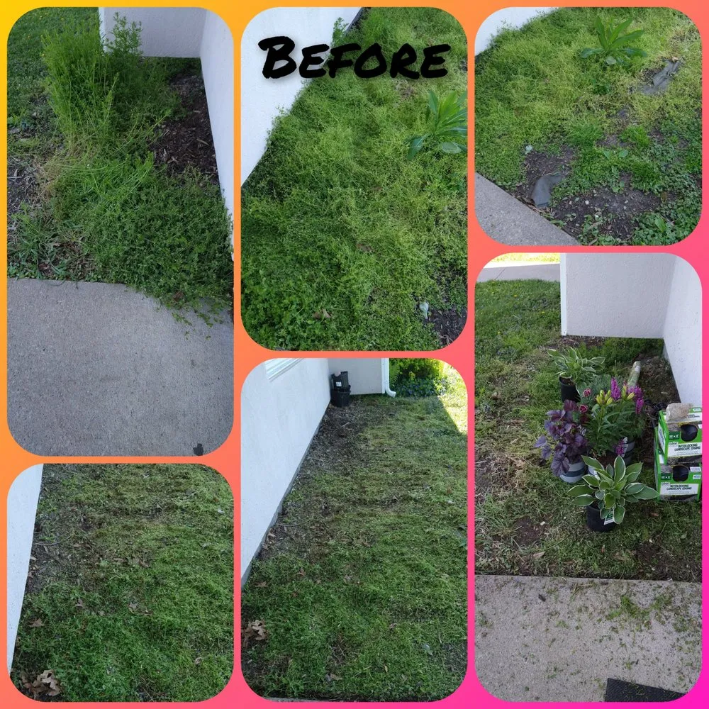 Custom yard maintenance in West Liberty, IA by Handyman Todd's Lawn Care