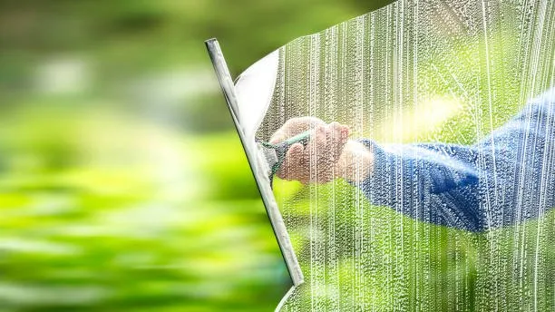 Custom residential landscaping for outdoor upgrades across Cannon Falls, MN - Handyman Vet