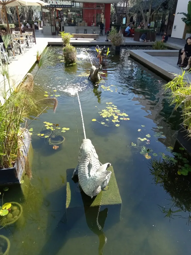 Trusted residential landscaping experts serving San Diego, CA - Handyman Will