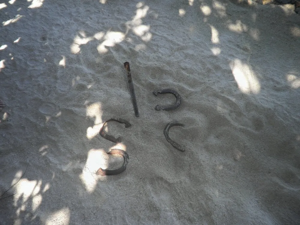 Professional residential landscaping near you in San Diego, CA by Handyman Will