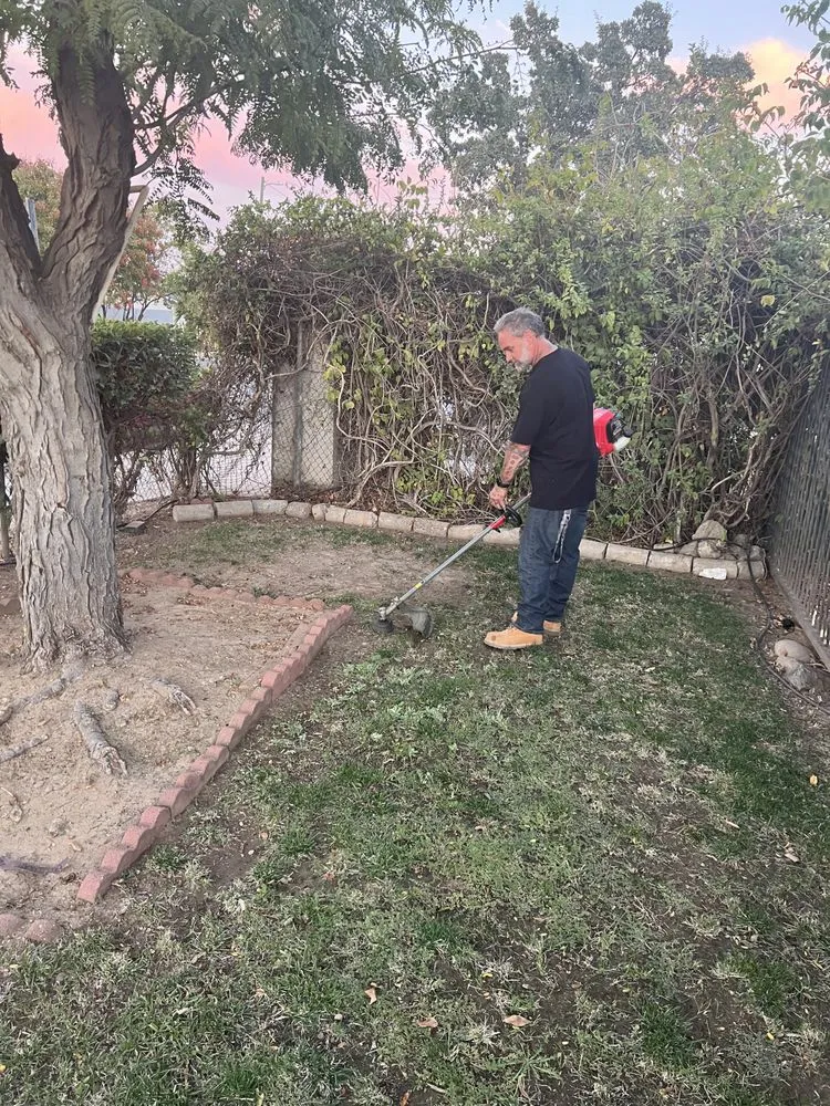 Expert landscaping services in Fresno, CA - Handymanj559
