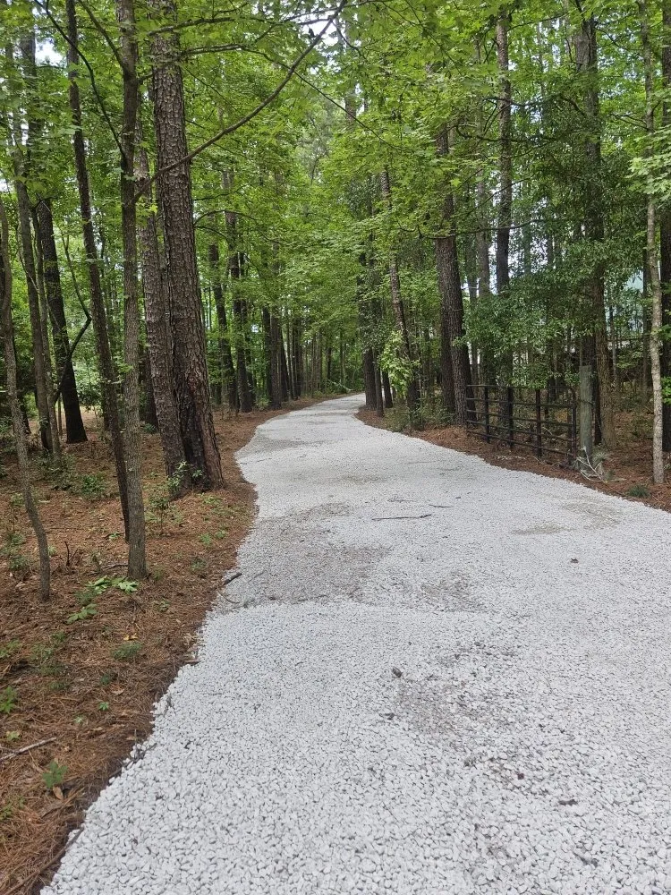 Reliable yard cleanup service near you in Beaufort, SC by HandyMann & Daughters Of Beaufort