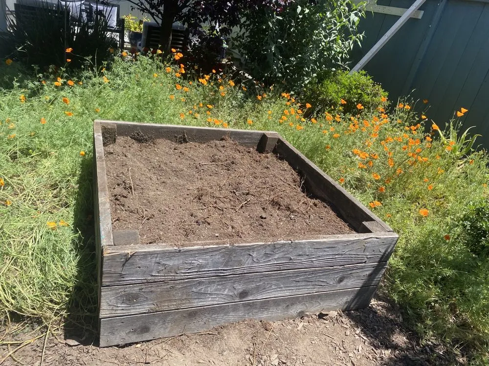 Trusted lawn care service in Oakland, CA by Handymen Duo