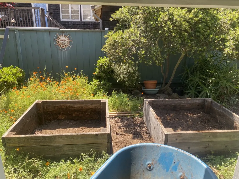 Local lawn care service experts serving Oakland, CA - Handymen Duo