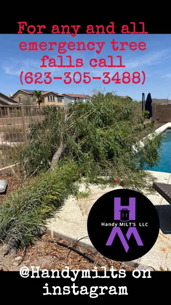 Expert landscape installation for year-round maintenance in Goodyear, AZ by Handymilts