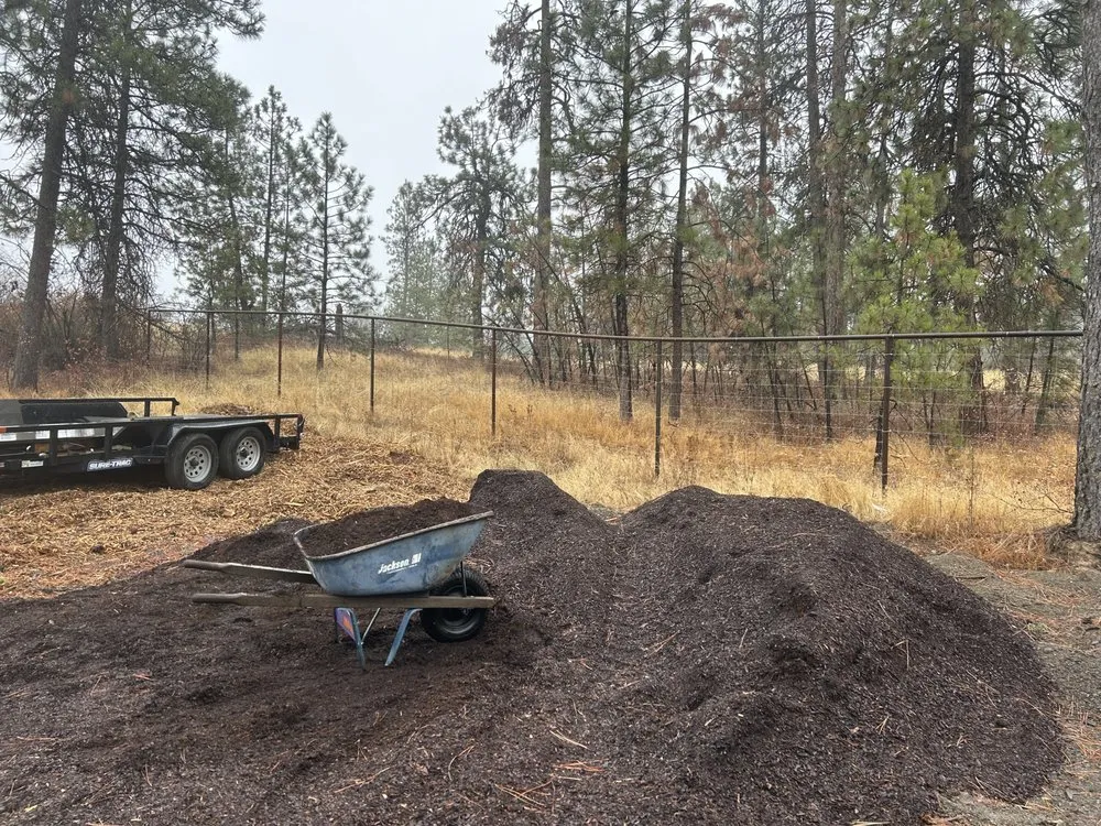 Trusted lawn mowing service experts serving Liberty Lake, WA - Handymom