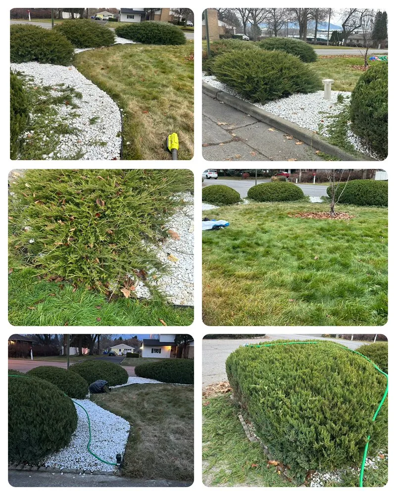 Trusted yard maintenance for outdoor upgrades in Liberty Lake, WA by Handymom