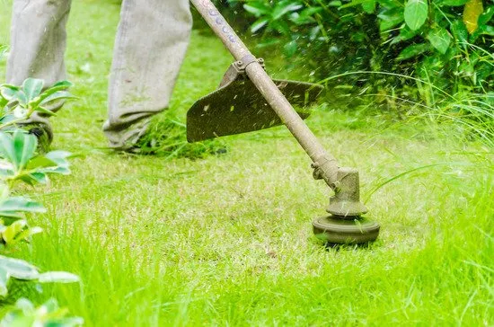 Trusted lawn care service for homes across Lafayette, LA - HandySams Lawn Care