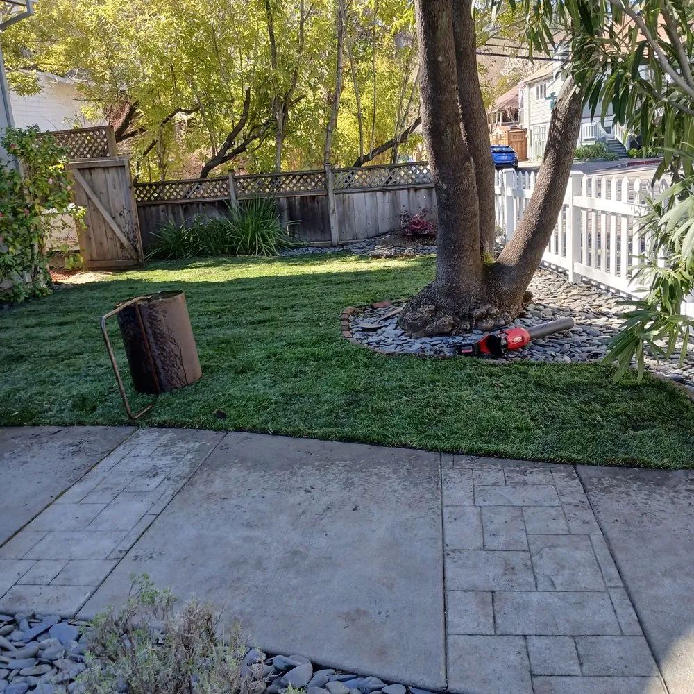 Local outdoor landscaping for year-round maintenance in Larkspur, CA by HandyWorks Aroldo